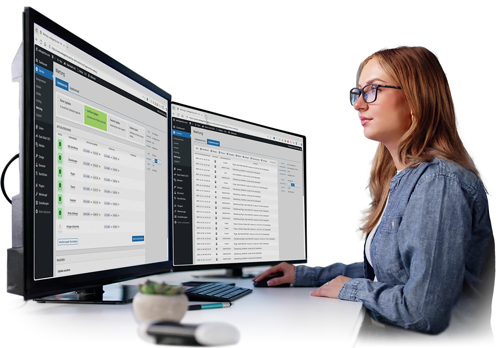 twin Webagentur - Updateservice